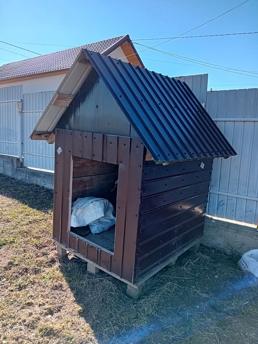 Vând coteț cățel