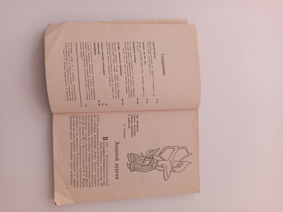 Загадка золотого кургана