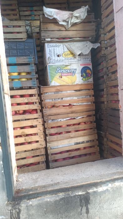 Яблоки 1 сорт АМЕРИКАНКА