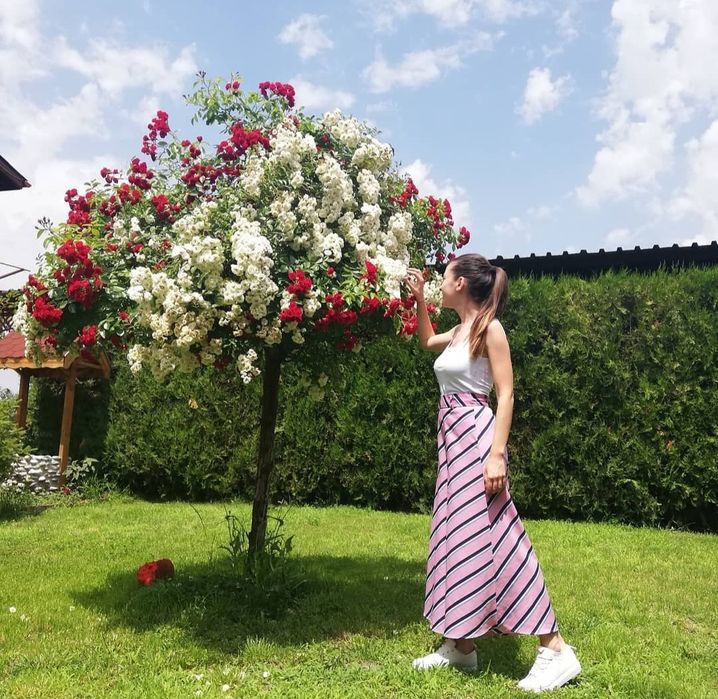 Панталон с широки крачоли, тип "килоти"