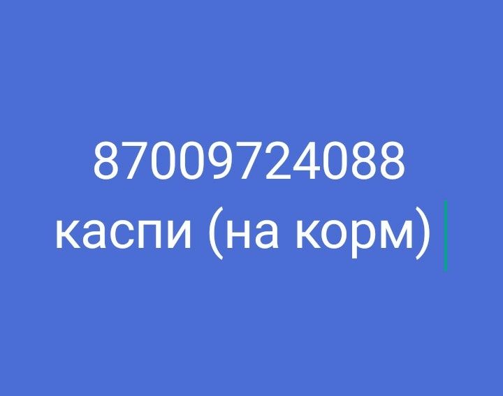 сбо.р. на корма .