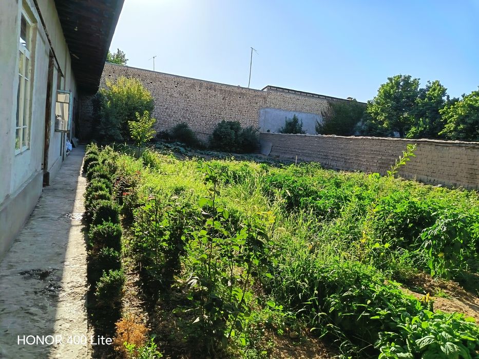 Ibn sino taxta bozorni oldidan uchaska sotiladi