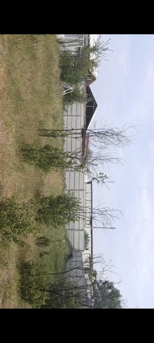 SROCHNO. 5 - sotix, 2-xona korobka, Atrofi oʻralgan. Quvasoy, Kokilon