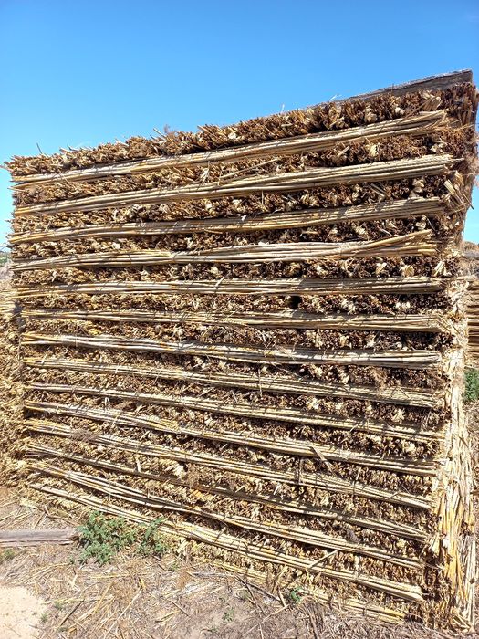 Камыш маты Атырау