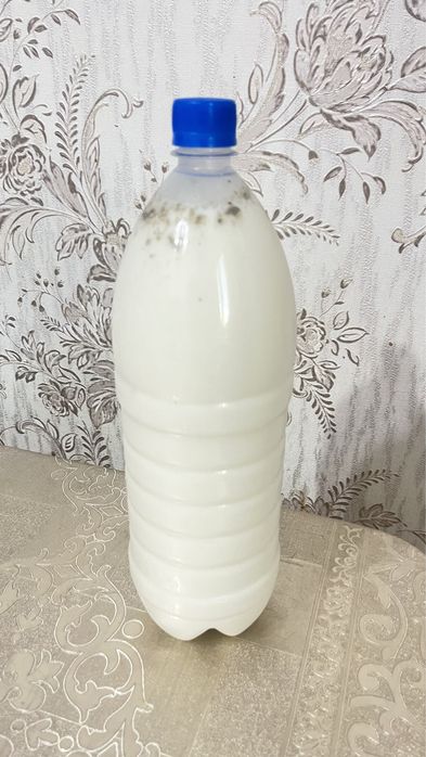 Қымыз Жанаарқа! Кумыс
