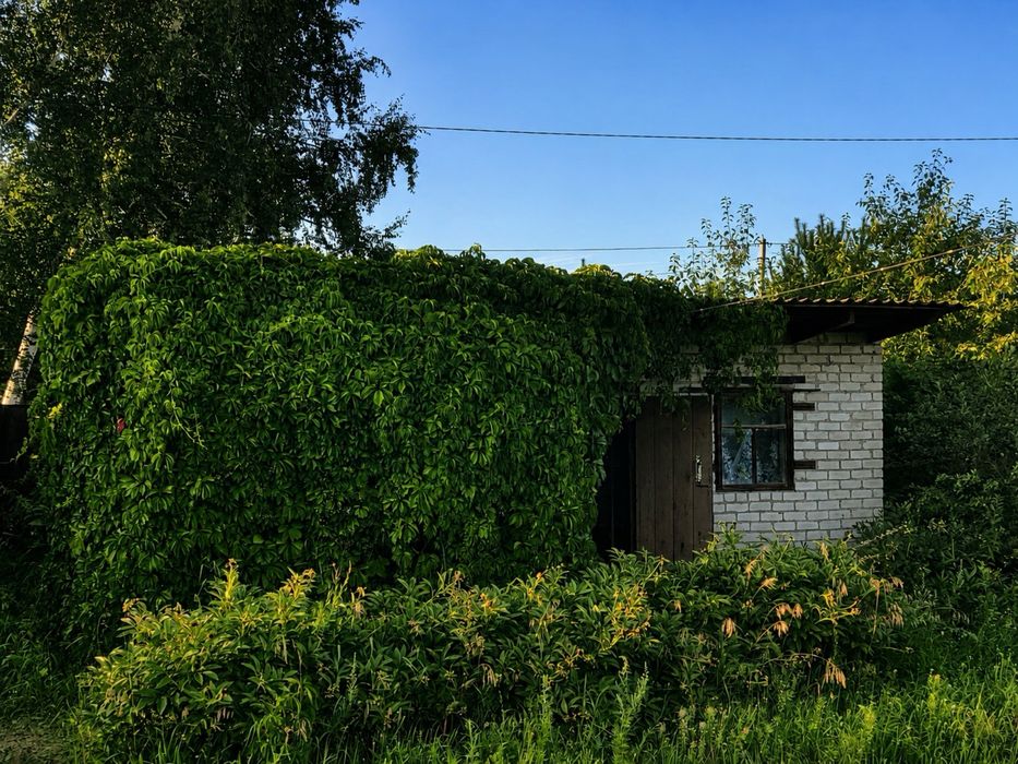 Просторная дача