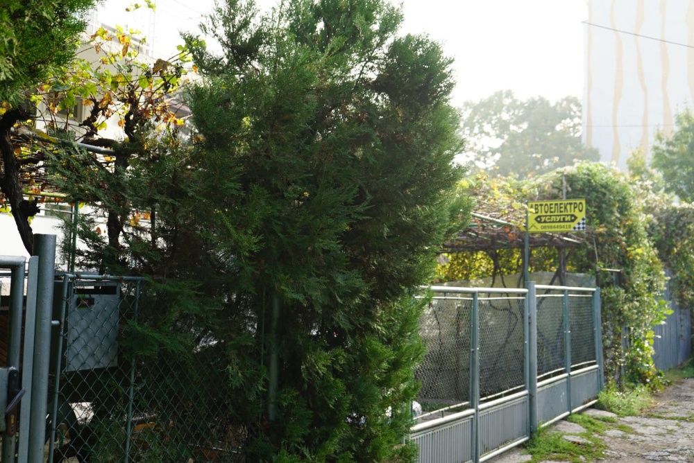 Авто Електро Услуги