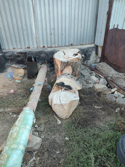 Дрова на баню самовывоз