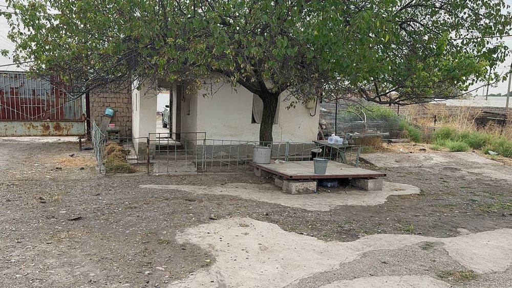 Ferma sotiladi yer narxida