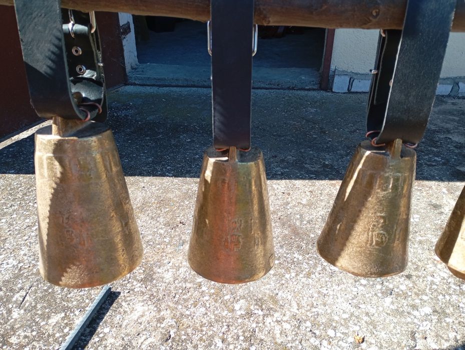 Чанове Звънци два модела