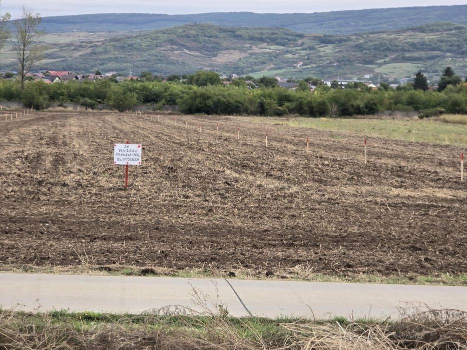 Teren Dancu cu deschidere la 2 drumuri + drum de 7 m privat