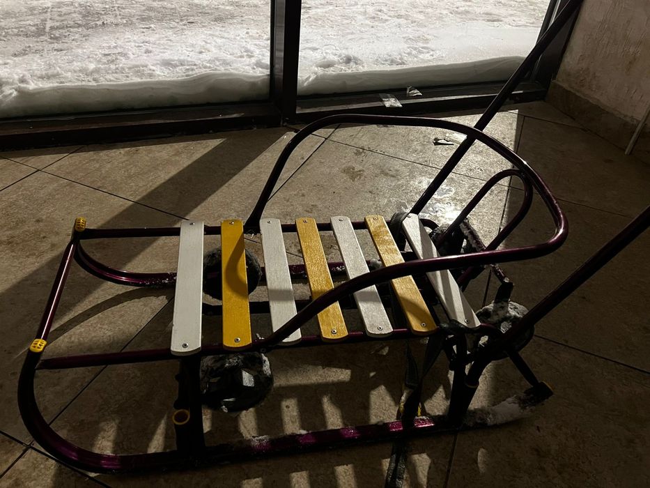 Сани| шана для детей