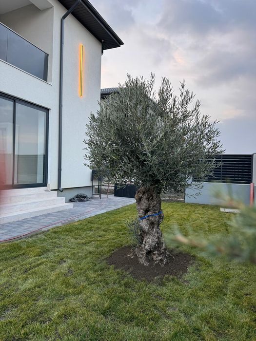 De Vanzare P+ 1 Buzau Vernesti