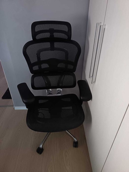 Scaun Ergohuman , folosit 6 luni, pret negociabil, predare persoanala