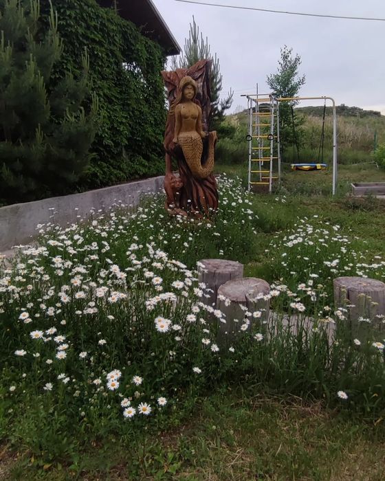 Сдам дом на Мохнатке