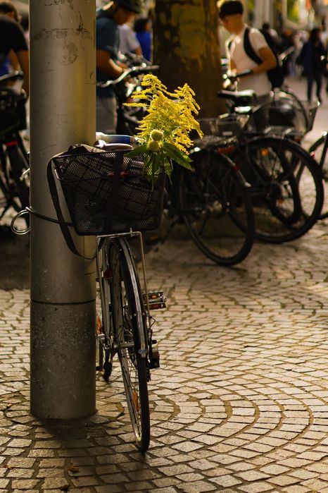 Canon EOS R50 + 2 обектива и други аксесоари