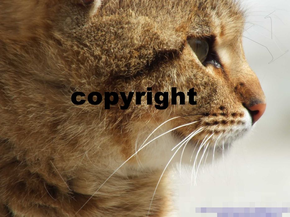 Aparat foto Fujifilm HS 25 EXR (DSLR bridge)