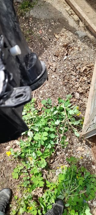 Фарове за Вектра ц/Сигнум