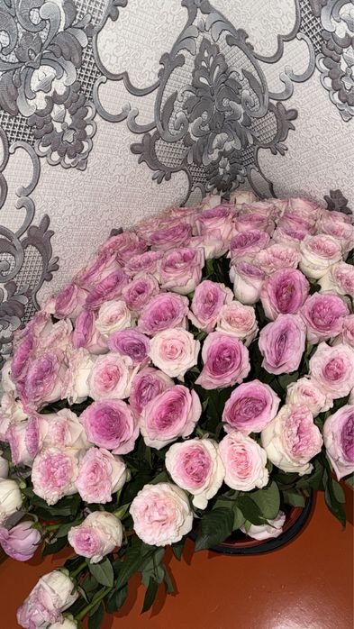 101 штук,необычная Роза,