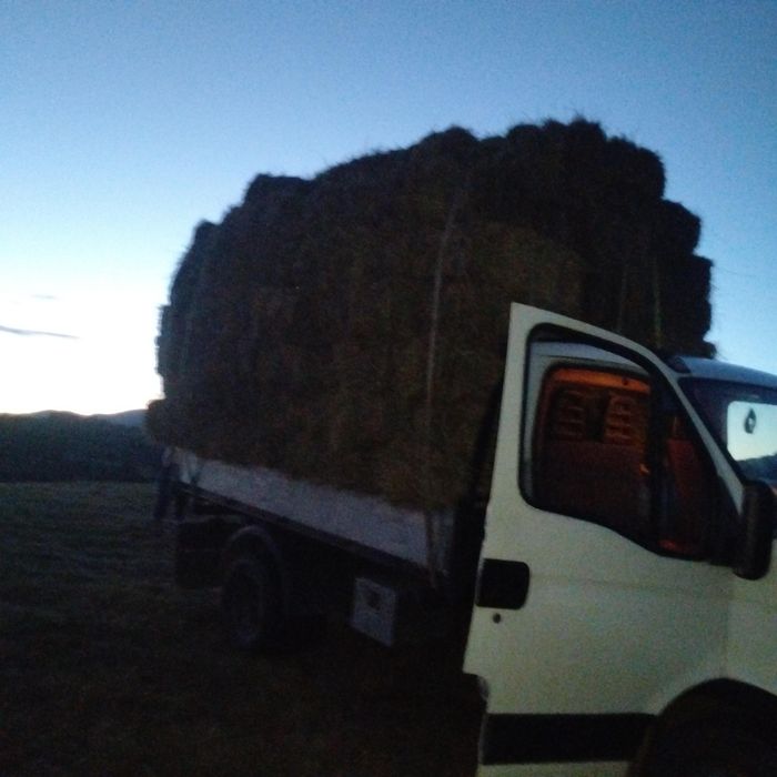 Vând baloți de fân