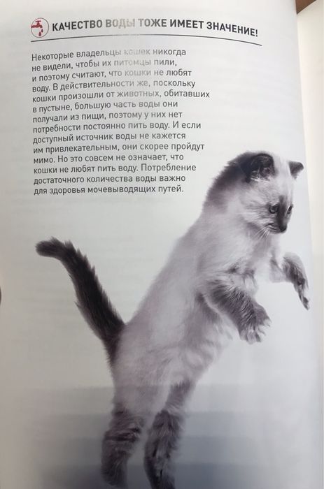 Брошюра «Котёнок в доме» 77 стр.