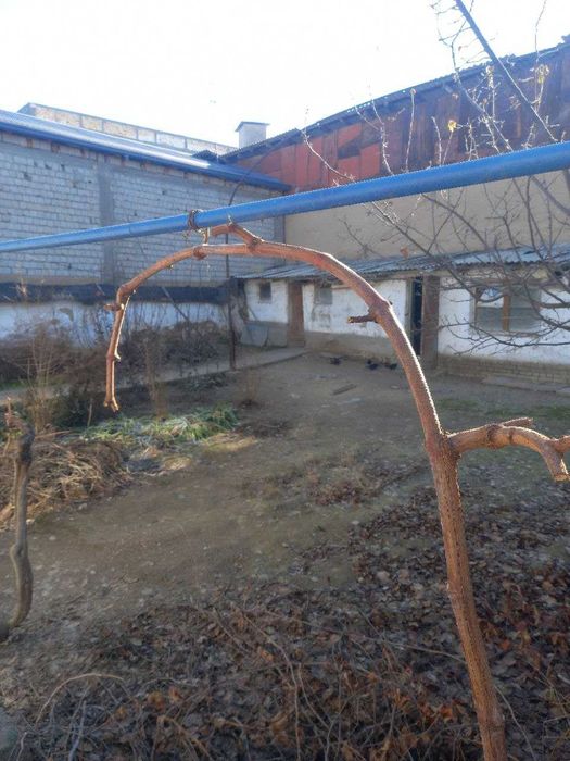 Продаю участок 4,72 сотки, ориентир Кукча