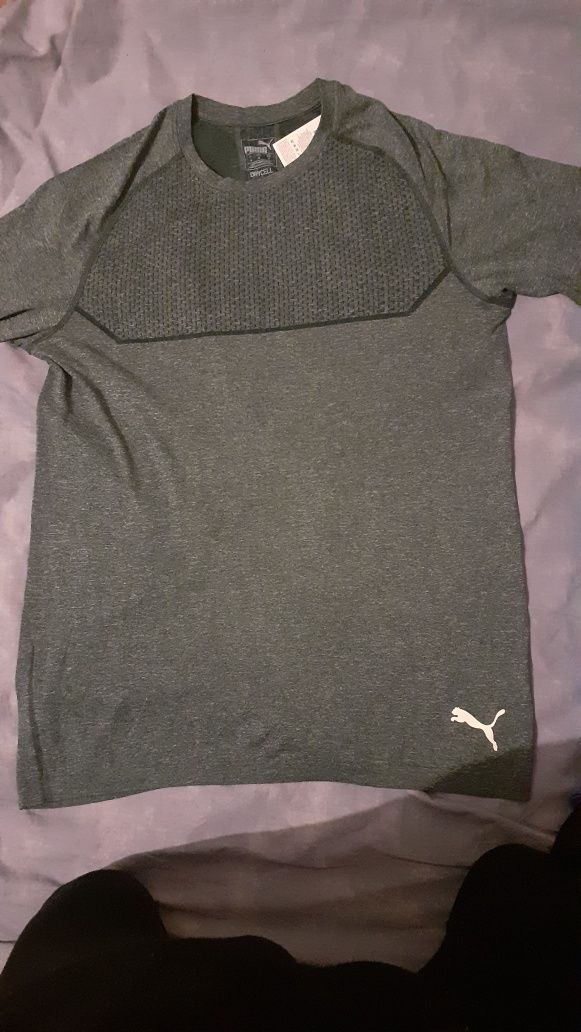 Puma on sale energy seamless