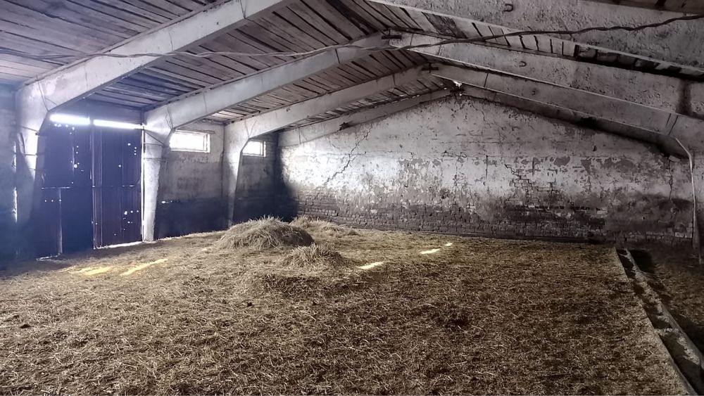 Продам базу / фермерское хозяйство