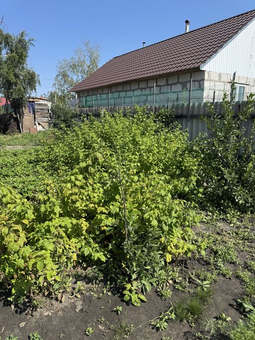 Продам дачу сообщество «Борки»