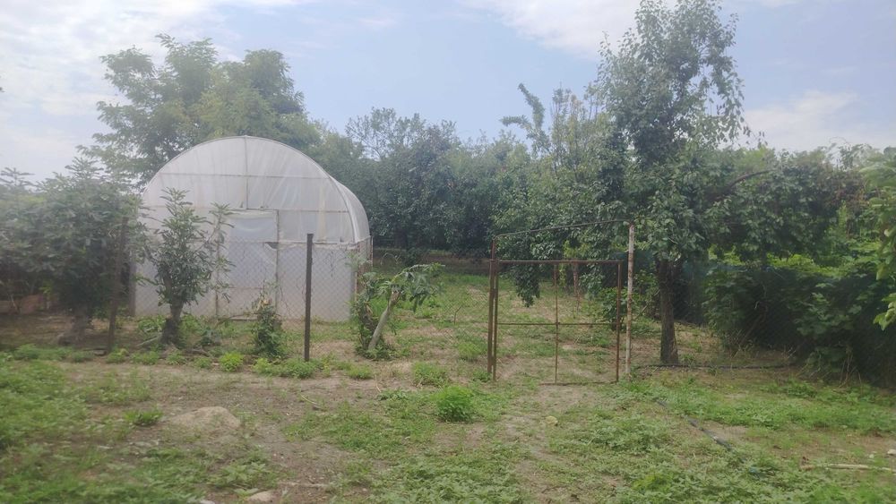 Particular casa la tara rustica 2100 mp, cu livadă, solar legume și utilitati - la aproximativ 60 km de București