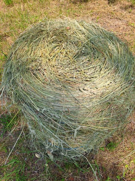 Baloți fân - 2026