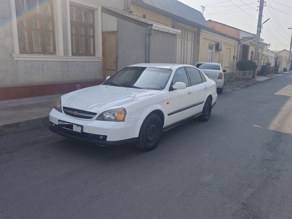 Magnus epica 2li mator