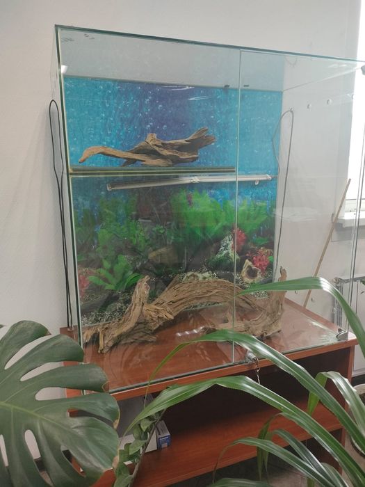 Продаётся террариум