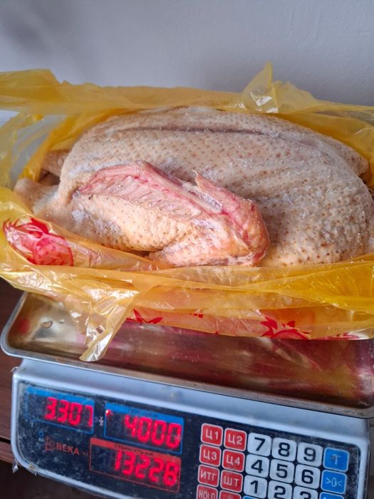 Инбейка, утки муларды