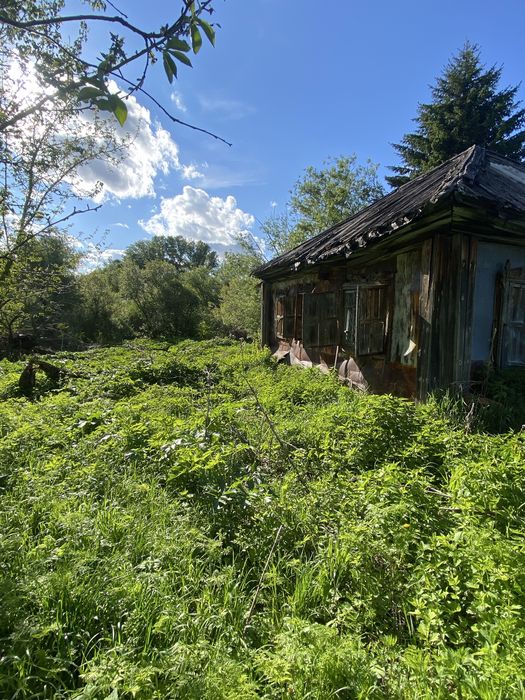 Продам пасеку, дачу