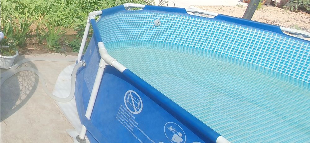 Басеин каркасный