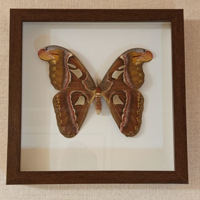 Подарок на новый год