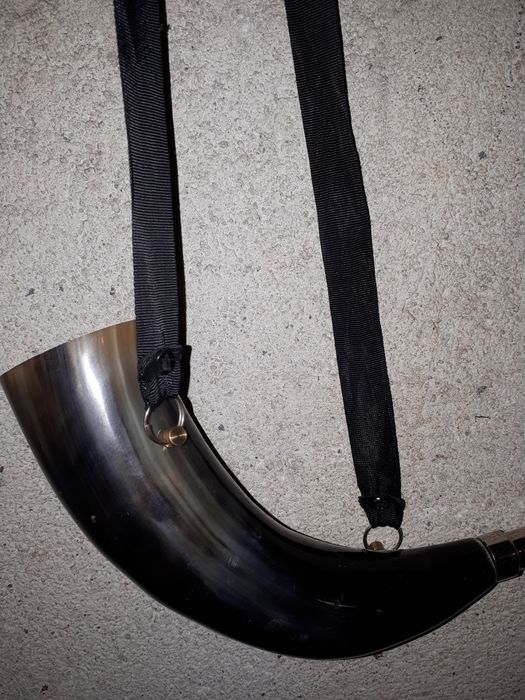 рог за примамване наедър дивеч