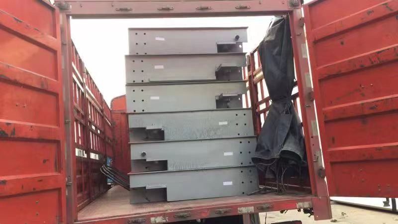 Tarozi avtomabilni ,Avto vesi