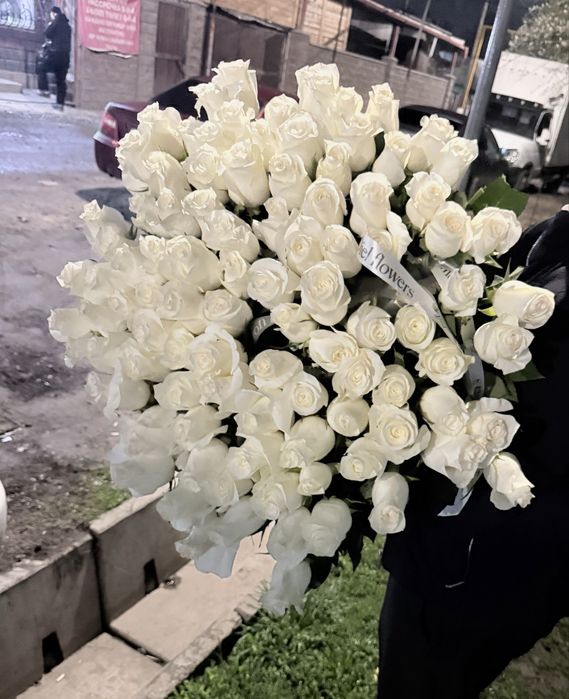 101 метровый роза