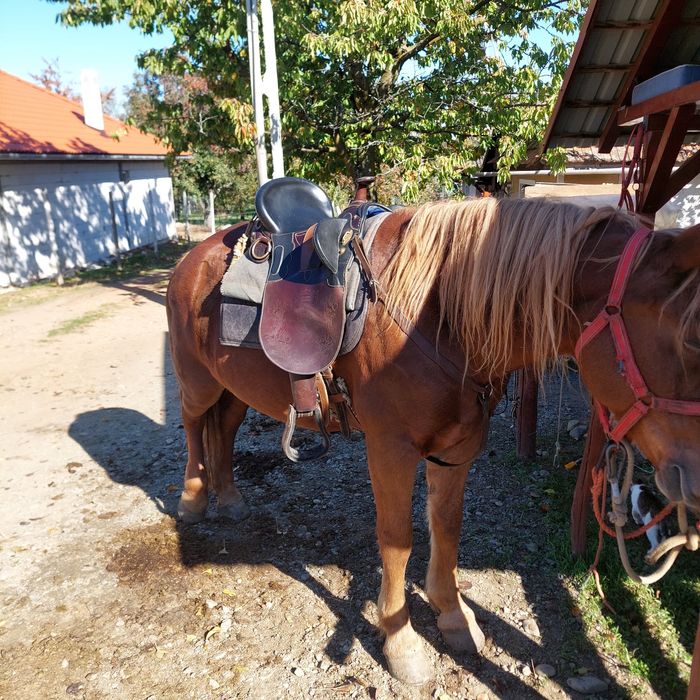 De vanzare sa Australiana originala cusut cu mana