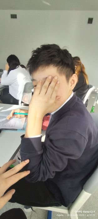 Продаю хомяка породестый