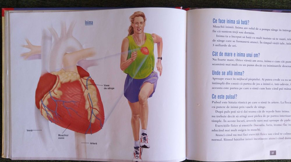 De ce nu te doare cand te tunzi? De ce explodeaza vulcanii?