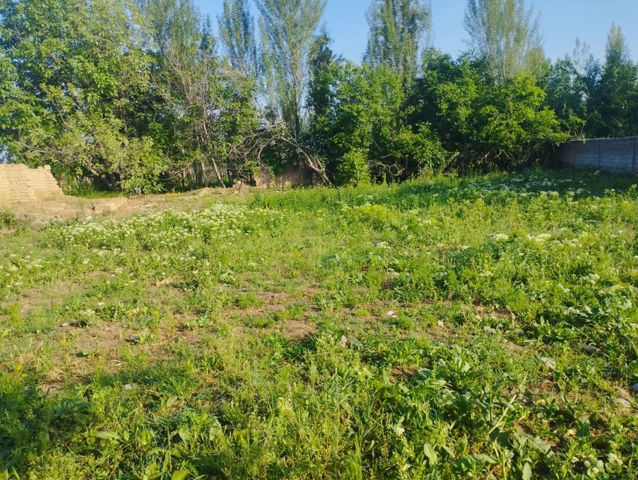 Uy joy uchun 8 sótik uchastka yer sotiladi