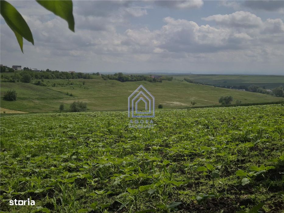 Teren intravilan Moara Nica - zona Scolii