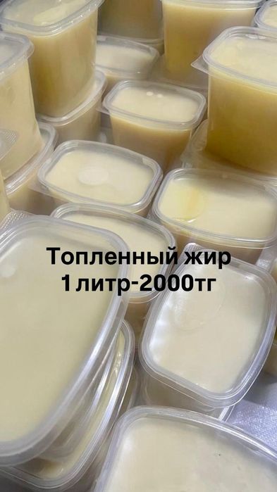 Продам гусей по 2600 за килограмм