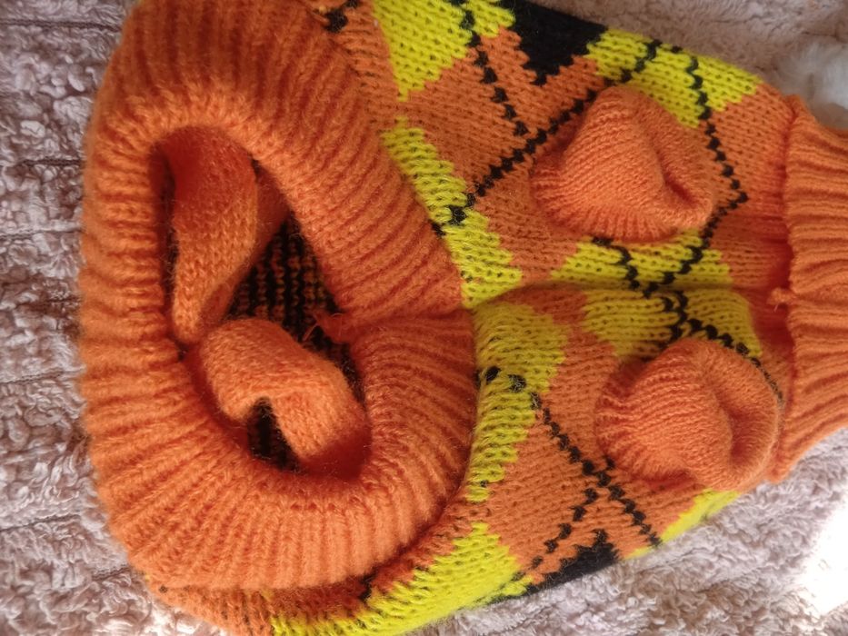 Костюмчик для питомца.