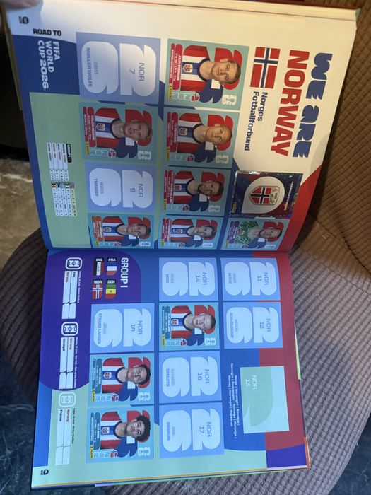 Album Panini World Cup