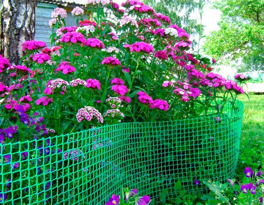 Садовая сетка пластиковая