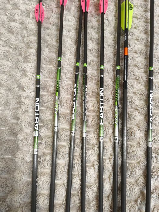 Hoyt Torrex Compound bow (лък) 50 -60 lbs и принадлежности